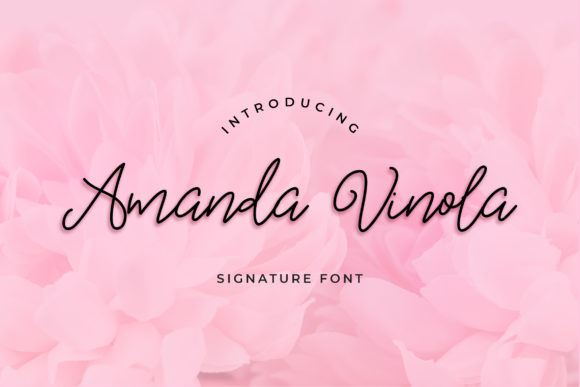 Amanda Vinola: A Delicate Script for Web Design