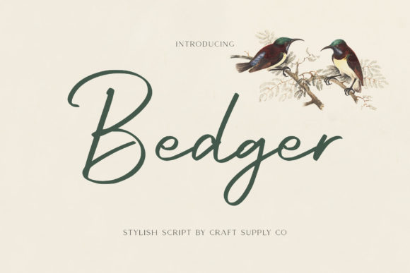 Bedger: A Handwritten Font for Web Design