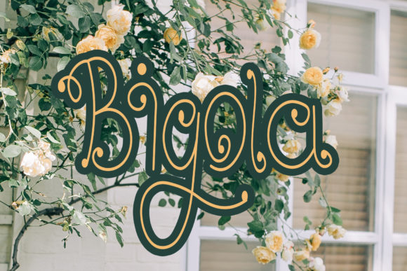 Bigola: A Graceful Font for Business Branding
