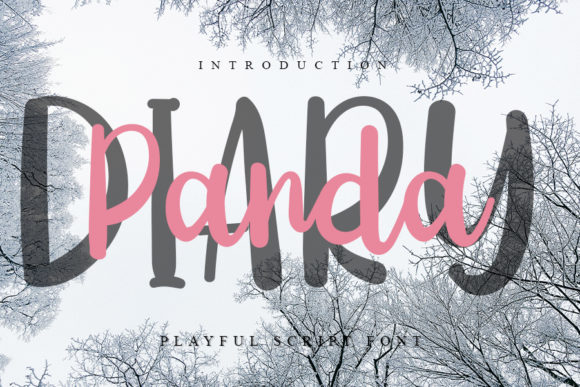 Diary Panda: A Playful Handwritten Font