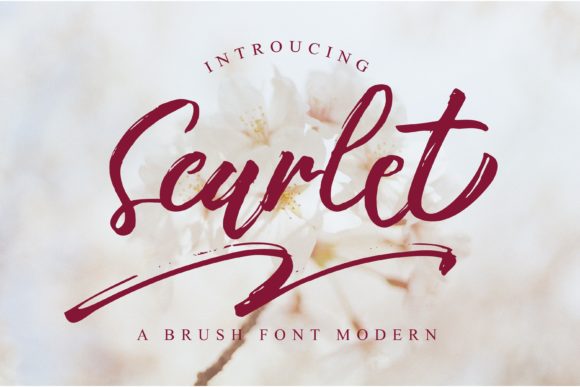 Scarlet: A Script Font for Editorial Magic